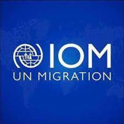 International Organization for