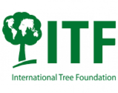 International Tree Foundation