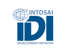 INTOSAI Development Initiative (IDI)