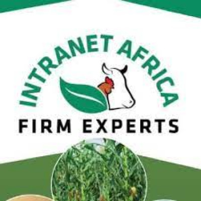 Intranet Africa Firm Experts (INAFE)