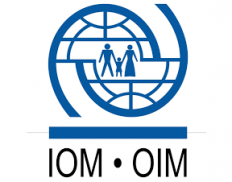 International Organisation for Migration