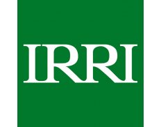 IRRI - International Rice Research Institute (HQ)