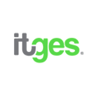 IT Global Enterprise Services INC