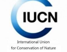 International Union for Conservation of Nature Cameroon