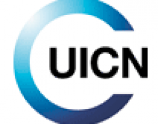 IUCN PACO (West and Central Africa Regional Office)