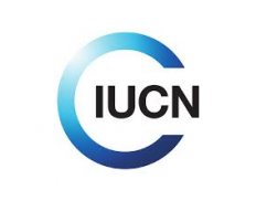 IUCN (Zimbabwe)