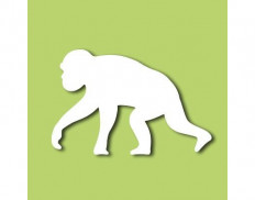 Jane Goodall Institute