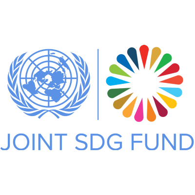 Joint SDG Fund