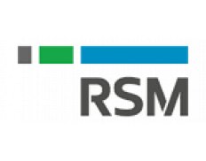 RSM Vietnam (former DTL Auditing)