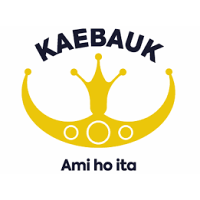 Kaebauk Investintu no Finansas S.A. (Kaebauk) avatar