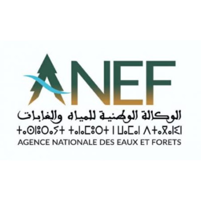 L’Agence Nationale des Eaux et Forêts (ANEF)