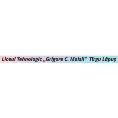 Liceul Tehnologic ,,Grigore C. Moisil” Tîrgu Lăpuș