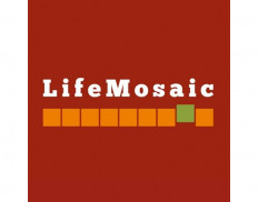 LifeMosaic