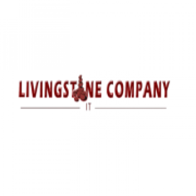 LivingstoneIT Company