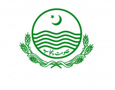 Local Government and Community