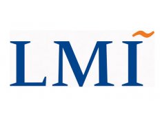 LMI - Logistics Management Institute