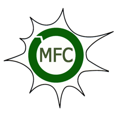 Mali-Folkecenter Nyetaa