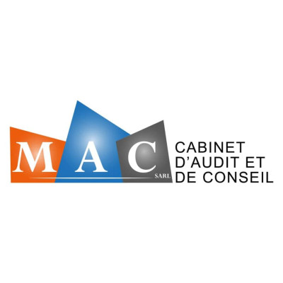 Management Audit and Consultin