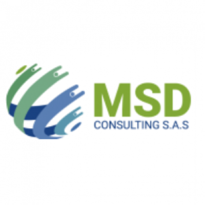 MSD Consulting  (Management Sc