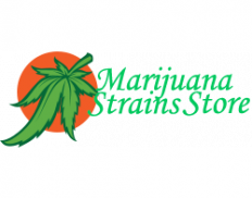 Marijuana Strains Store