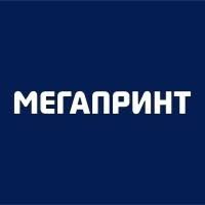 Megaprint Service LLC