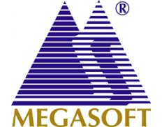 Megasoft Limited