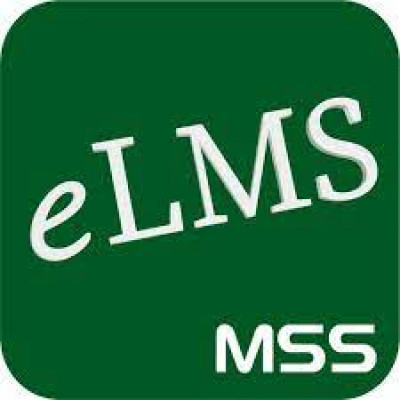 Megastrength Security Services