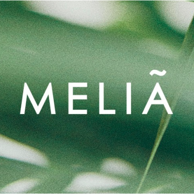 Meliá Hanoi