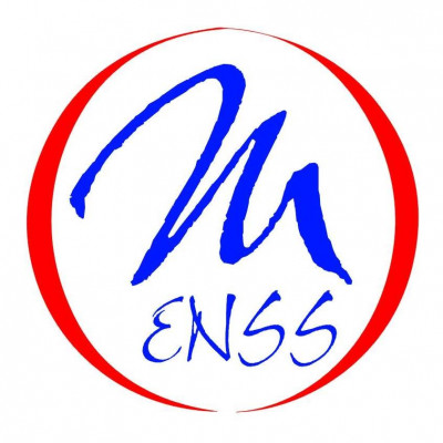 Micro Engineering, Network & Security System (MENSS)