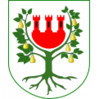 Międzychód Commune  (Poland)