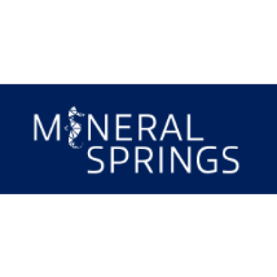 Mineral Springs Inc