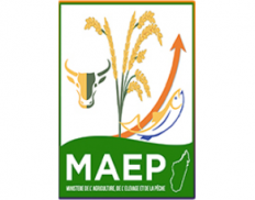 Ministry of Agriculture, Livestock and Fisheries Madagascar / Ministère de l'Agriculture, de l'Elevage et de la Pêche