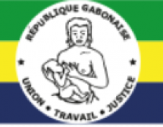 Ministry of Employment, Public Service, Labor and Vocational Training (Gabon) /Ministère de l'Emploi, de la Fonction Publique, du Travail et de la Formation Professionnelle (Gabon)