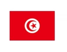 Ministry of Vocational Training and Employment of Tunisia / Ministère de la Formation Professionnelle et de l'Emploi