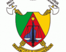 Ministry of Public Investments and Territorial Planning /Ministère des Investissements Publics et de l’Aménagement du Territoire (MINPAT)