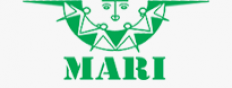 Modern Architects for Rural India (MARI)