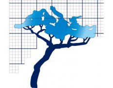 Monbailliu & Associes