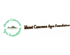 Mount Cameroon Agro Fondation