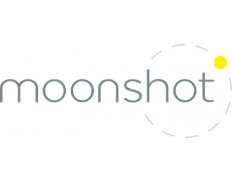Moonshot CVE