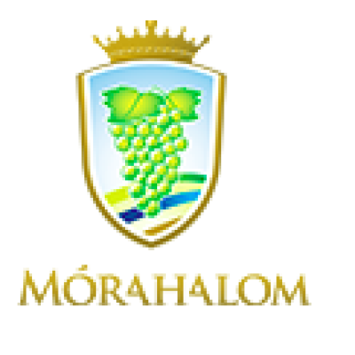 Morahalom Varosi Onkormanyzat