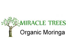 Moringa the Miracle Tree