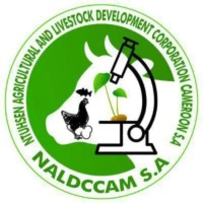 NALDCCAM