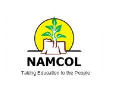 Namibian College of Open Learning (NAMCOL)