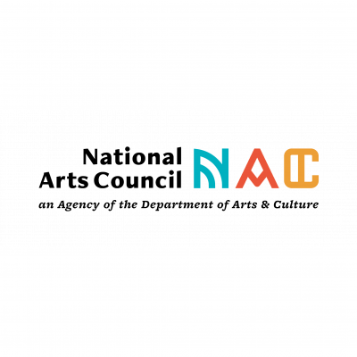 National Arts Council (South Africa)