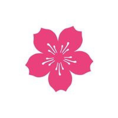 National Cherry Blossom Festiv