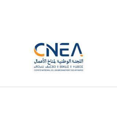 National Committee for the Business Environment (Morocco)