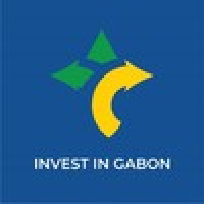 National Investments Promotion Agency (ANPI-Gabon)