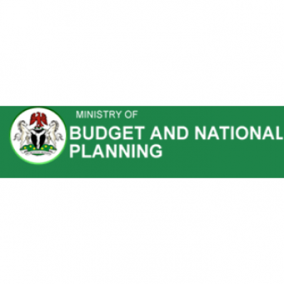 National Authorising Officer, National Planning Commission (under Ministry of Budget, Nigeria)