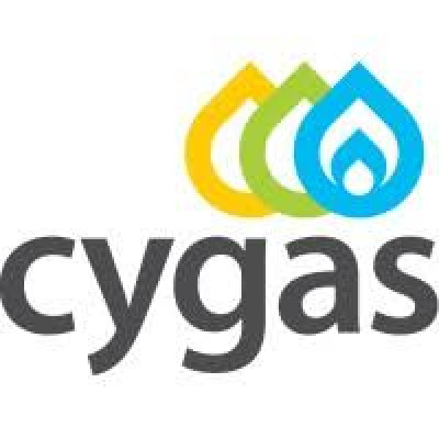 Natural Gas Public Company Ltd (DEFA)
