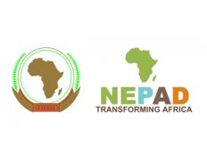 African Union Development Agency (formerly New Partnership for Africa’s Development Planning and Coordinating Agency - NPCA)